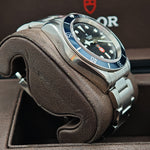 Load image into Gallery viewer, 21015328 Tudor Heritage Black Bay