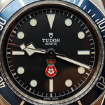 Load image into Gallery viewer, 21015328 Tudor Heritage Black Bay
